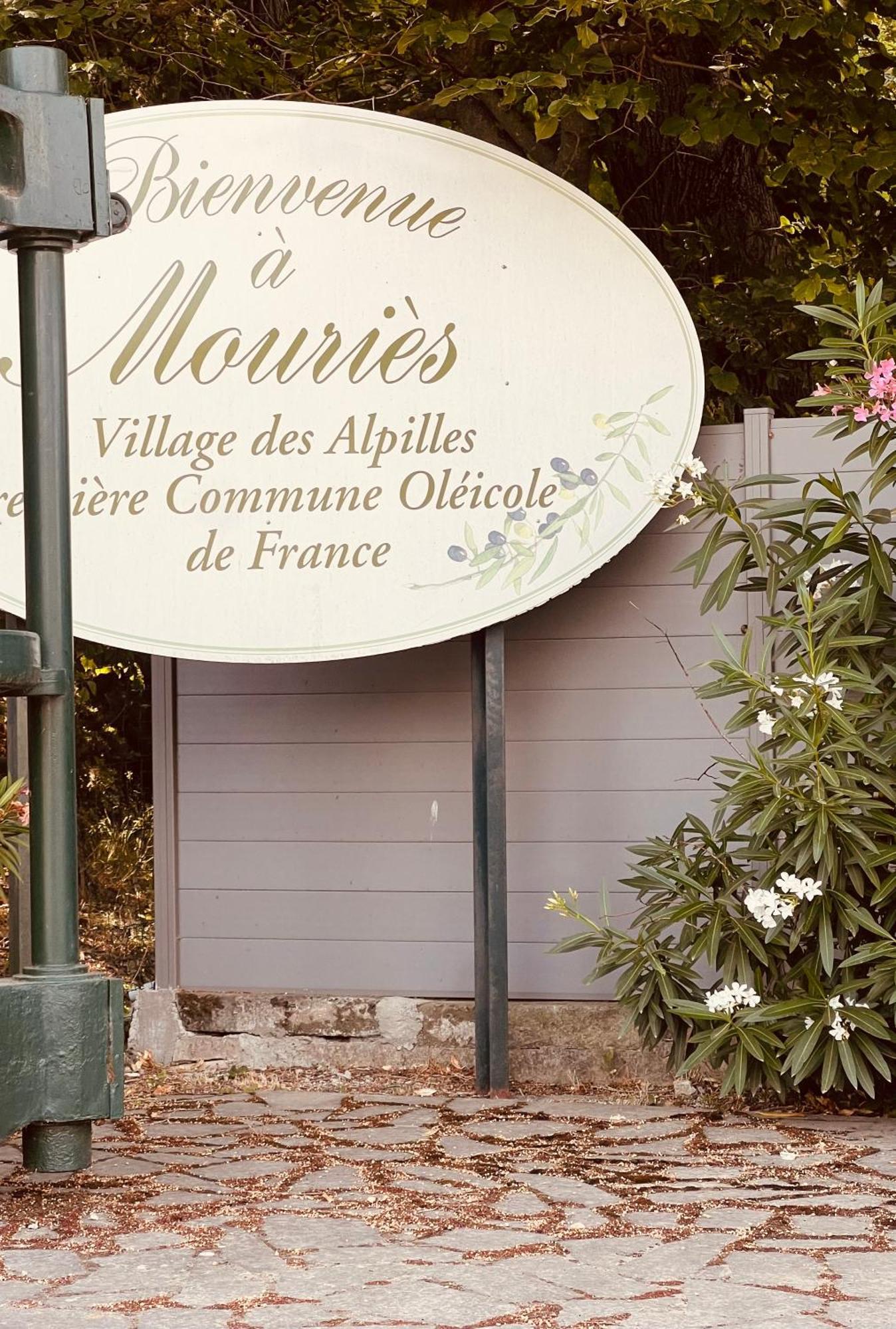 Villa La Boheme Mouries Extérieur photo
